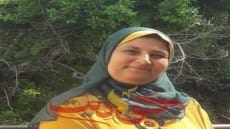 اللقاء الاخير