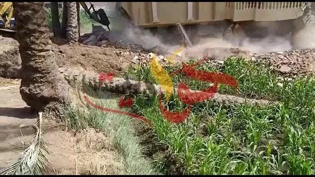 بالفيديو .. لحظة سقوط نخلة على مقاول الازالات أثناء ازالة فيلا بالبدرشين فى الجيزة