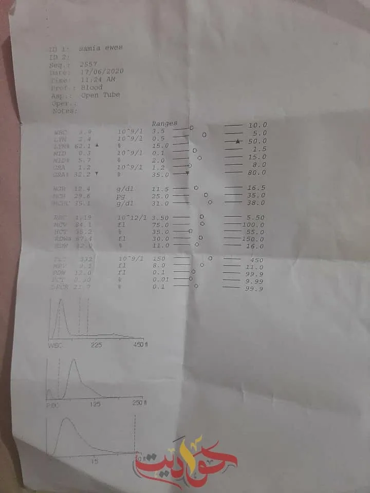 83218352_1361728297369455_8138472493797422852_n