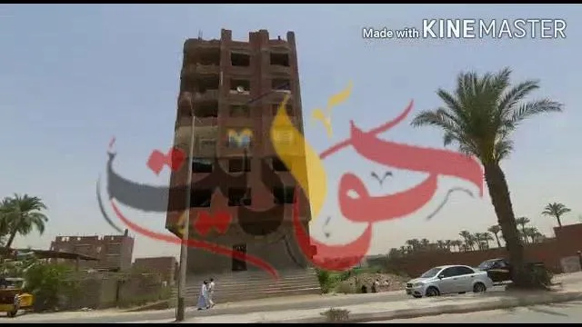 بالفيديو .. ازالة عقار مخالف بالحوامدية