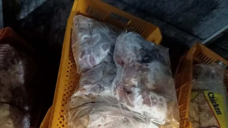 قبل العيد .. ضبط ما يقرب من 16.5 طن دواجن ولحوم فاسدة بمحافظة الجيزة .. منهم 12 بالبدرشين