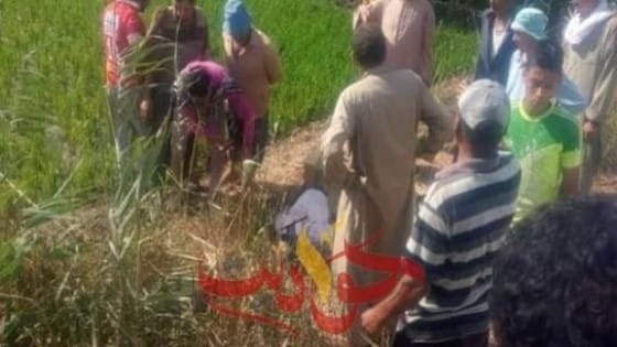 العثور على جثة داخل جوال بمزرعة .. والمباحث تكشف اللغز