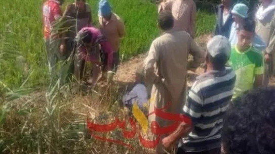 العثور على جثة داخل جوال بمزرعة .. والمباحث تكشف اللغز