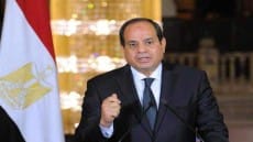 الرئيس السيسي: مصر قادرة على حماية حقوقها.. ونمضي لبناء وطن قوي
