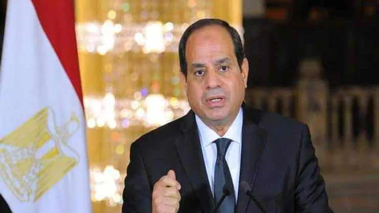 الرئيس السيسي: مصر قادرة على حماية حقوقها.. ونمضي لبناء وطن قوي