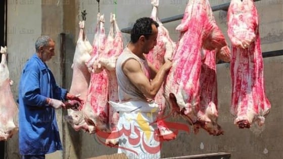 بالمجان .. تجهيز ٢٣ مجزر علي مستوي محافظة الجيزة لذبح الاضاحي .. حملات تفتيشية على الأسواق ومحلات الجزارة قبل وأثناء عيد الأضحى