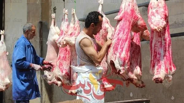 بالمجان .. تجهيز ٢٣ مجزر علي مستوي محافظة الجيزة لذبح الاضاحي .. حملات تفتيشية على الأسواق ومحلات الجزارة قبل وأثناء عيد الأضحى