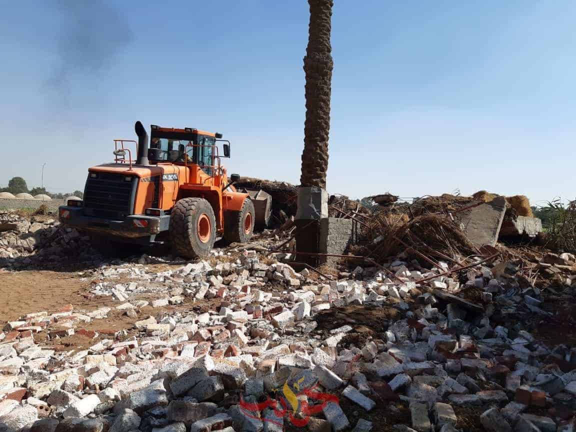 شاهد بالصور.. إزالة مزرعتى خيول وكلاب بأبوصير فى البدرشين