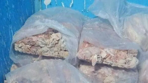ضبط ٦ طن لحوم مفرومة فاسدة و دهون غير صالحة للاستهلاك الأدمي بإمبابة