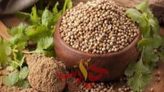 تعرف على فوائد الكزبرة عند تناولها على الريق .. منها علاج أمراض “السكر والشيخوخة والعيون”