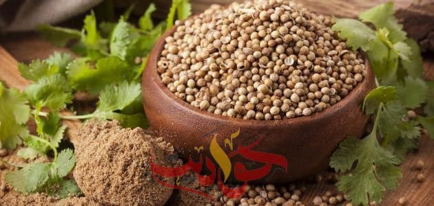 تعرف على فوائد الكزبرة عند تناولها على الريق .. منها علاج أمراض “السكر والشيخوخة والعيون”