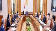 السيسى: يتابع الخطة الاستراتيجية للنهوض بالمحاصيل الزراعية والإنتاج الزراعي