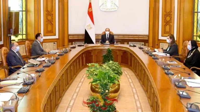 ٥٠ مليون جنيه من صندوق تحيا مصر لدعم الصناعات الحرفية فى الصعيد