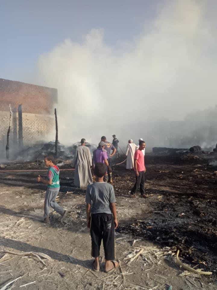 شاهد بالصور .. اشتعال النيران فى أراضى زراعية بأوسيم .. الحماية المدنية تتمكن من الإطفاء