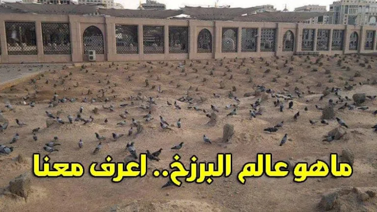 هل يشعر الميت بمن يزوره ومن يسلم عليه ..أسرار لا تعرفها عن عالم البرزخ