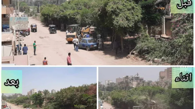 شاهد بالصور.. تنفيذ 22 قرار ازالة وبرج مكون من 14 طابق فى الحوامدية
