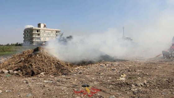 وزيرة البيئة توجه بالمتابعة المستمرة لمواجهة حرائق قش الارز والمخلفات