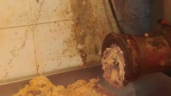 شاهد بالصور.. ضبط 30 طن لحوم ودواجن ومشتقاتهم وكبده غير صالحه للاستهلاك الادمى بالجيزة