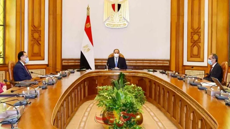 السيسى يوجه بالتطوير الاليكتروني الشامل لهيئة التامين الاجتماعي