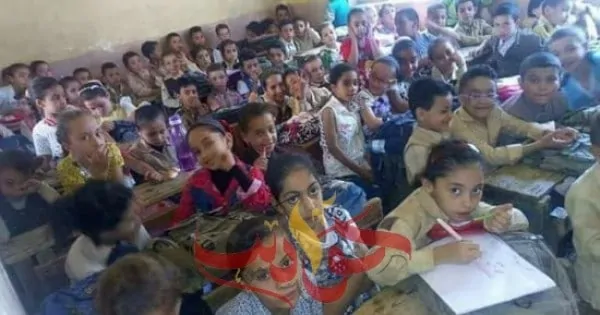 بسبب الوجبات المدرسية .. إصابة 46 طالبًا باشتباه تسمم فى الجيزة