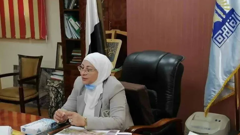 نائب محافظ القاهرة للمنطقة الجنوبية توجه بتوصيل المرافق لقرية الفواخير بالفسطاط