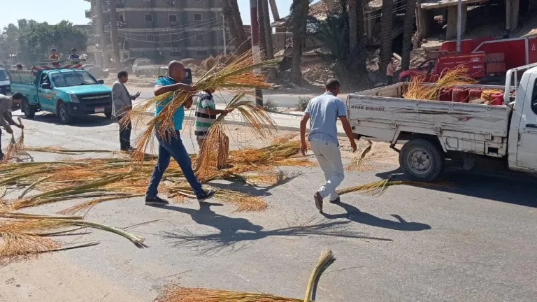 لاعاقته الطريق العام .. إزالة زعف وسباط النخيل .. رفع 100 طن اتربه بأطفيح