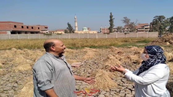 وزيرة البيئة : تحرير 238 محضر لحرق المخلفات الزراعية وتنفيذ 7464 نشاطا توعويا لمواجهة السحابة السوداء  