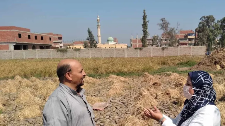 وزيرة البيئة : تحرير 238 محضر لحرق المخلفات الزراعية وتنفيذ 7464 نشاطا توعويا لمواجهة السحابة السوداء  