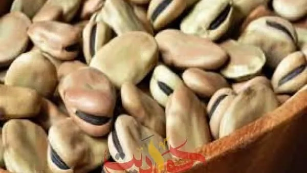 رسميا.. وقف تصدير الفول بكافة أنواعه