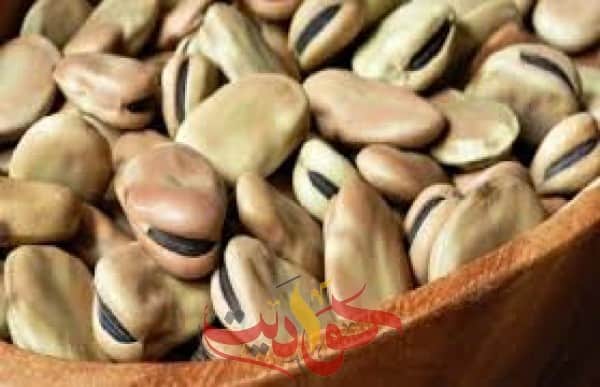 رسميا.. وقف تصدير الفول بكافة أنواعه