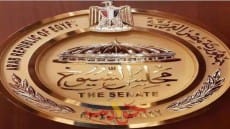 الانتهاء من وضع التصور النهائي لمشروع القانون لائحة مجلس الشيوخ