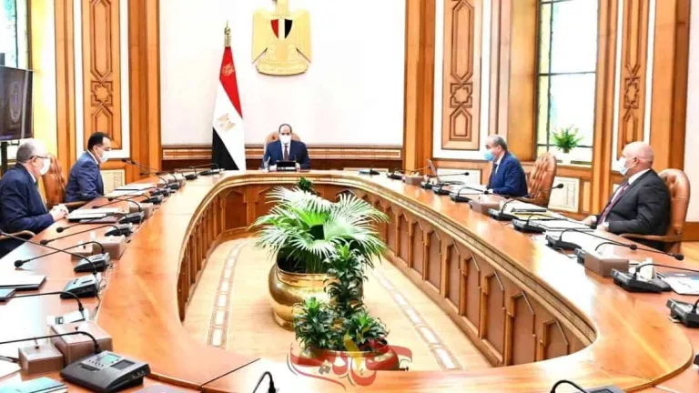 السيسى يوجه بالتوسع في المشروعات الزراعية بالوادي الجديد .. اقامة مناطق لوجستية