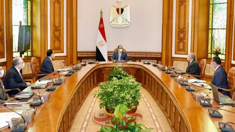 السيسى يوجه بالانتهاء من كافة أعمال البنية التحتية لمشروعات شركة تنمية الريف المصري الجديد