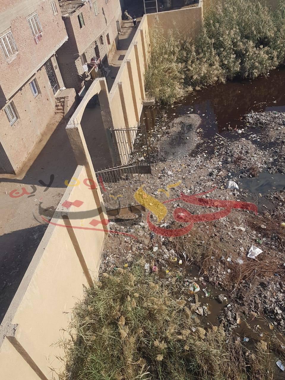 عاجل لوكيل وزارة الشباب والرياضة بالجيزة : مركز شباب ميت شماس"النادى البلاط" يتحول الى مقلب للقمامة وبرك ومستنقعات ومأوى لجميع الزواحف والحيوانات النافقة .. غياب تام من المسئولين (صور)