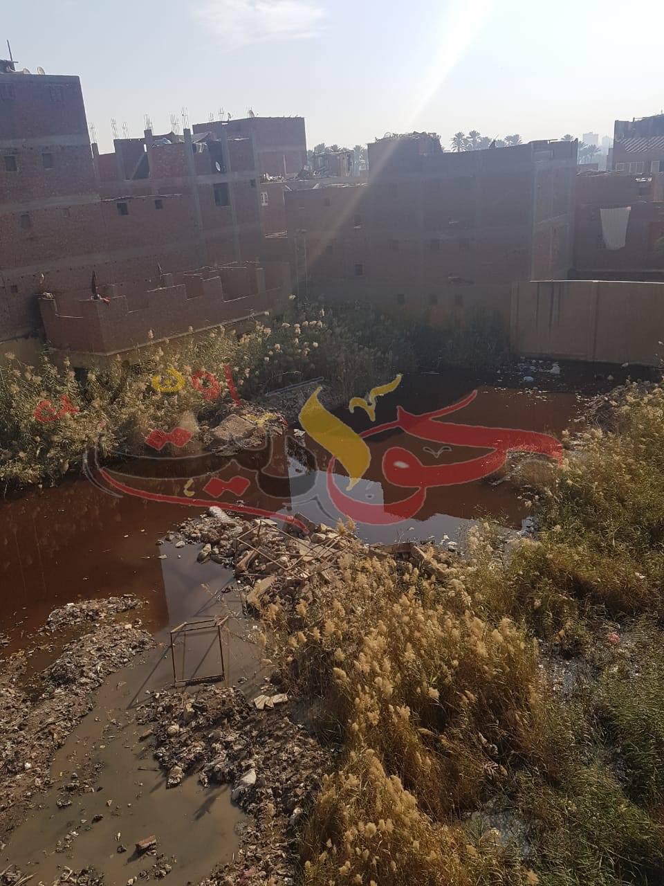 عاجل لوكيل وزارة الشباب والرياضة بالجيزة : مركز شباب ميت شماس"النادى البلاط" يتحول الى مقلب للقمامة وبرك ومستنقعات ومأوى لجميع الزواحف والحيوانات النافقة .. غياب تام من المسئولين (صور)