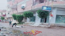 مصرع حمار صعقاً بالكهرباء بقرية الشيخ عتمان فى الحوامدية