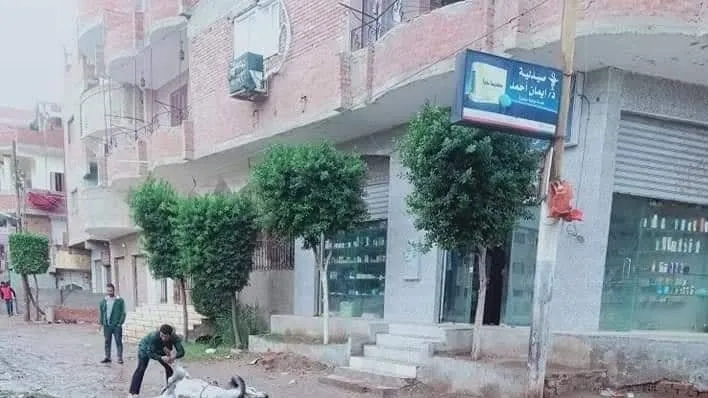 مصرع حمار صعقاً بالكهرباء بقرية الشيخ عتمان فى الحوامدية