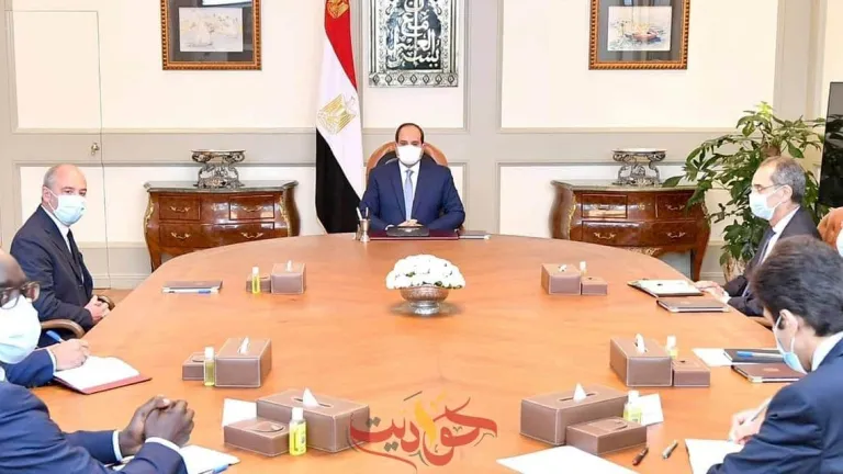 الرئيس السيسى يلتقي برئيس شركة اورانج العالمية للاتصالات لمتابعة مشروعات الشركة المستقبلية في مصر