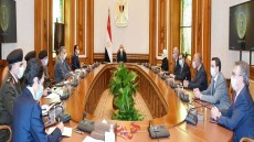 السيسى: يوجه بإنشاء مراكز تجميع مشتقات البلازما في مصر بالشراكة مع شركة “جريفولز” الإسبانية العالمية