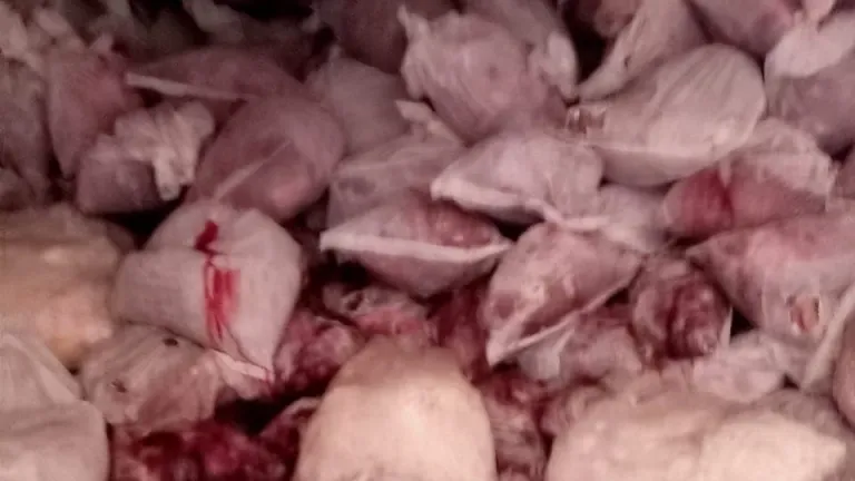 شاهد بالصور .. محافظ الجيزة: ضبط 22 طن لحوم ودواجن غير صالحة للاستهلاك الأدمي
