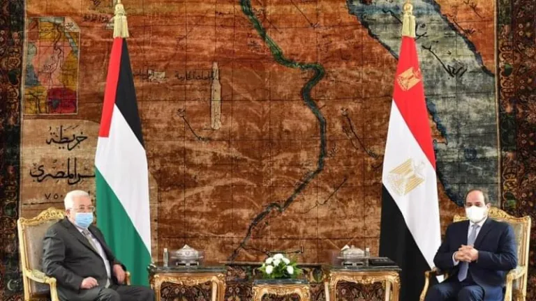 الرئيس السيسى يبحث مع الرئيس الفلسطيني مستجدات القضية الفلسطينية وعملية السلام في الشرق الأوسط