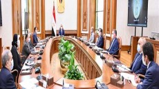الرئيس السيسي يوجه الحكومة بالإسراع في خطوات توطين صناعة السيارات مُستخدمة الطاقة الجديدة .. متابعة تحويل المركبات للعمل بالغاز