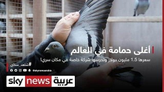 شاهد بالفيديو .. أغلى حمامه فى العالم .. سعرها 1.5 مليون دولار وتحرسها شركة خاصة في مكان سري