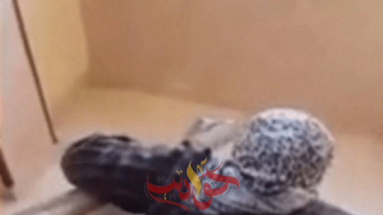 بعد نشر فيديو يزعم طرد شاب لأمه القعيدة .. الأم تنشر فيديو أخر وهى تبكى يكذب الواقعة طلعنى 7 مرات عمرة وحجة