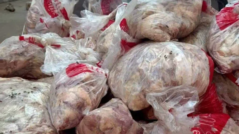 الجيزة: ضبط ٢٦ طن لحوم ودواجن غير صالحة للأستهلاك الأدمي بهذه الأحياء والمراكز