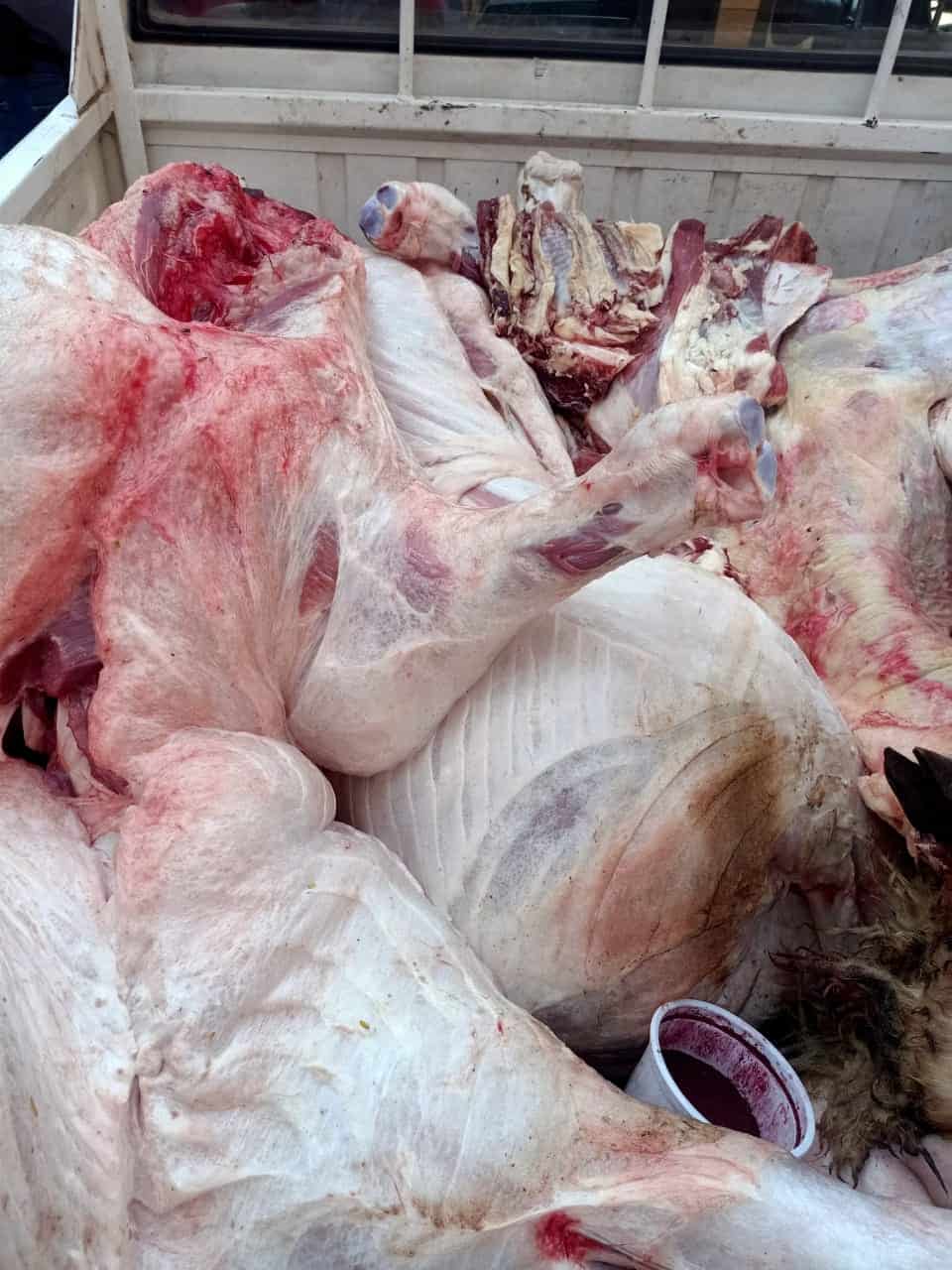 الجيزة: ضبط ٢٦ طن لحوم ودواجن غير صالحة للأستهلاك الأدمي بهذه الأحياء والمراكز