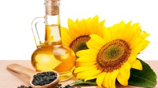 فوائد مُزهله لزيت عباد الشمس .. منها تقليل خطر الاصابة بأمراض القلب