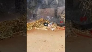 انفجار ماسورة مياه فى الحوامدية