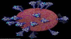 بيان حاسم من «الأزهر» بعد ارتفاع أعداد المصابين بفيروس كورونا