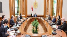 الرئيس السيسى يوجه بالبدء الفورى لإنشاء معامل الفحص المركزية النموذجية بالموانئ